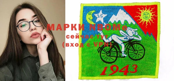 соль ск Бородино